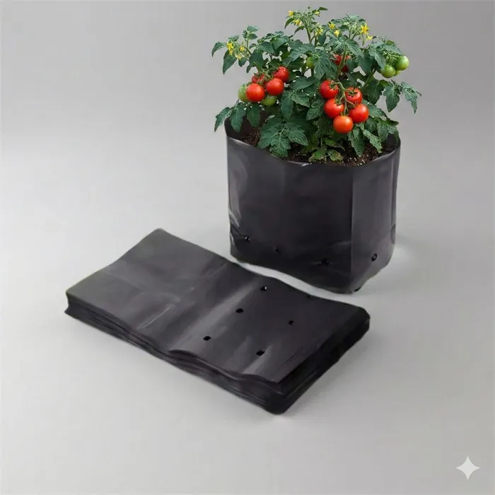 Bolsa de vivero negra perforada con planta