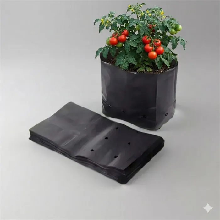 Bolsa de vivero negra perforada con planta